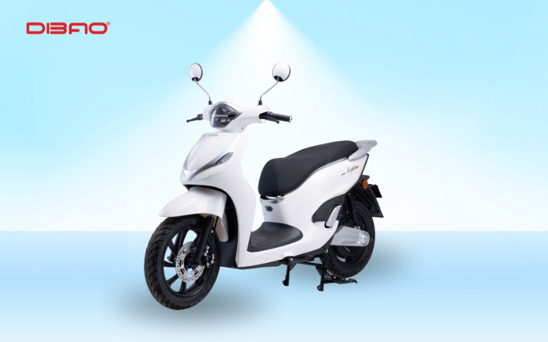 xe điện đi xa nhất dibao ls007